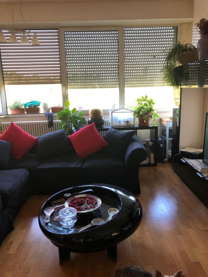 Baci Da Roma Apartment Ngoại thất bức ảnh